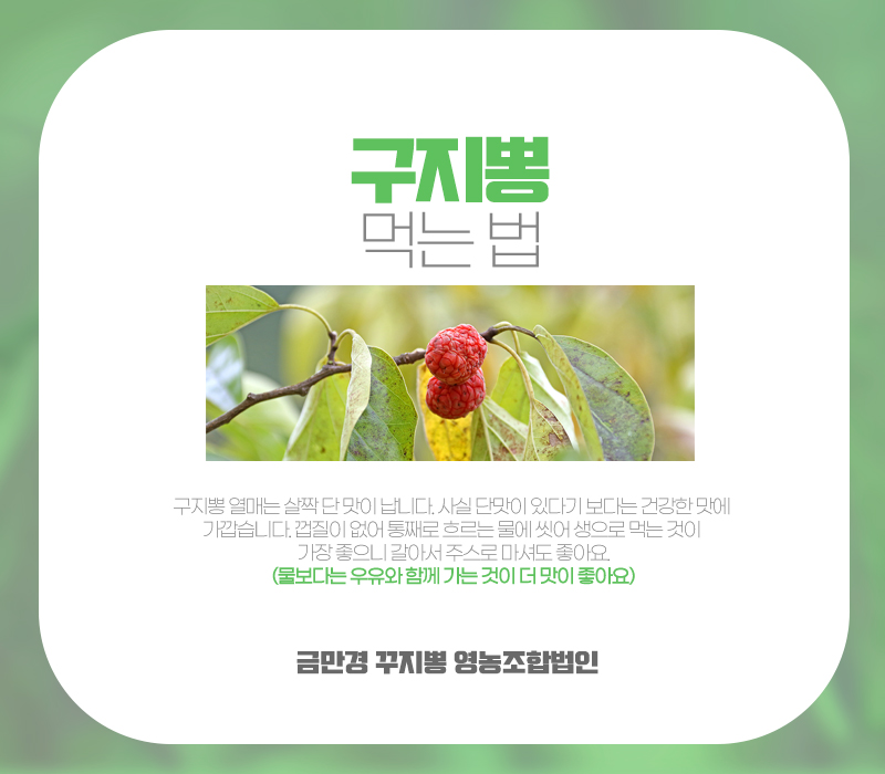 약초건강식품 이미지