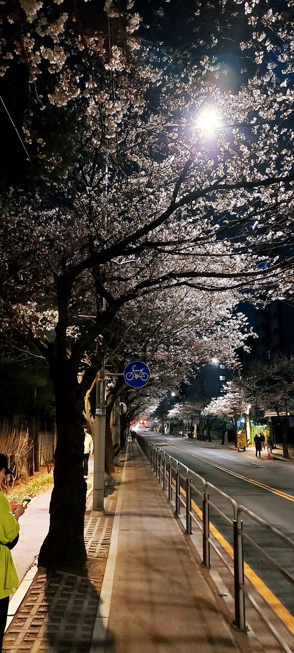 이송카센타 이미지