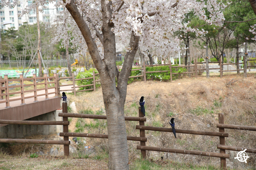 각산비나리공원 이미지