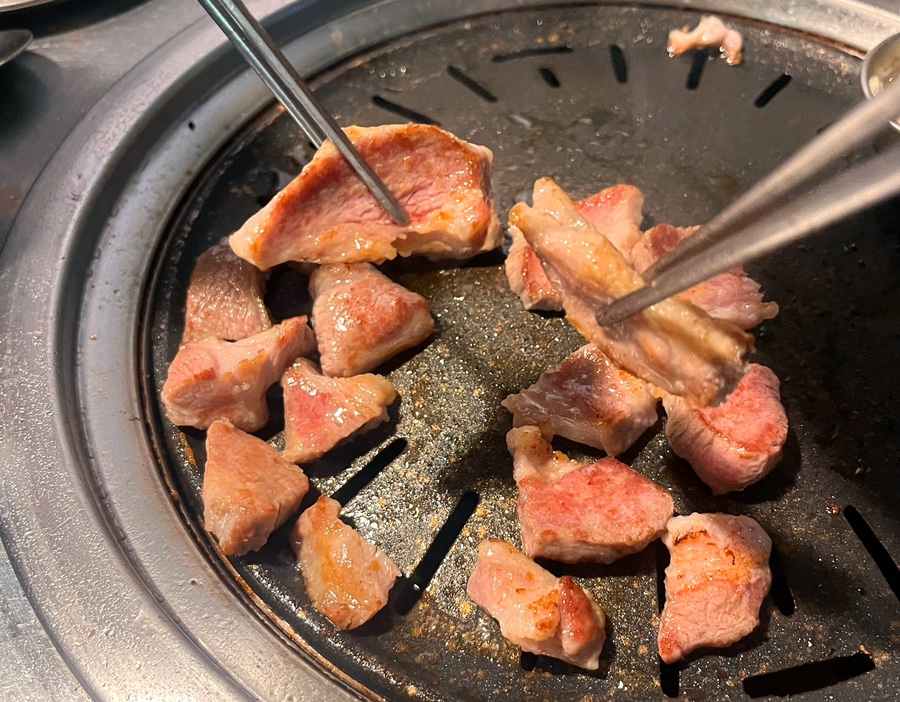 돼지보리네 이미지