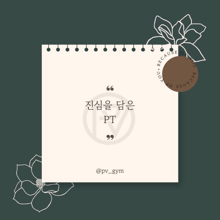 피브이짐 이미지