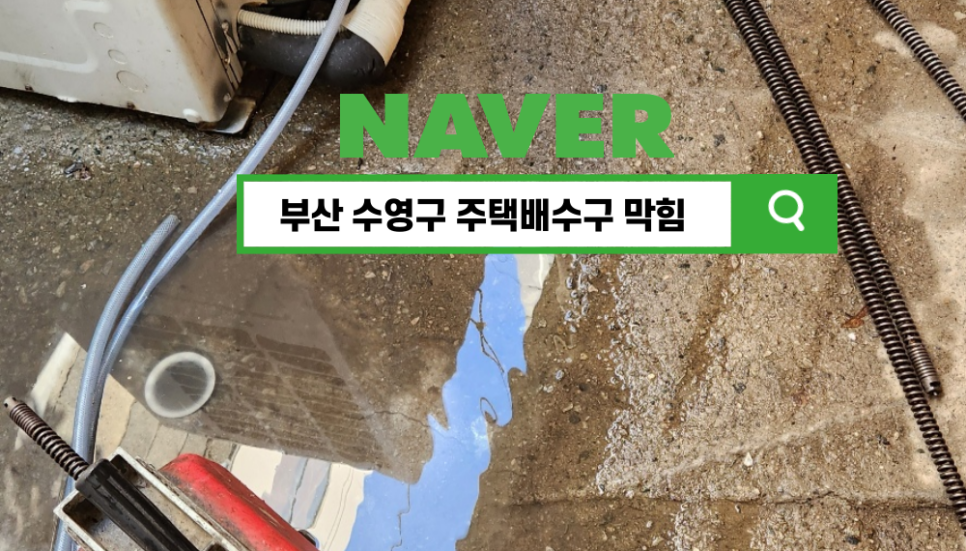 동림ENG 이미지