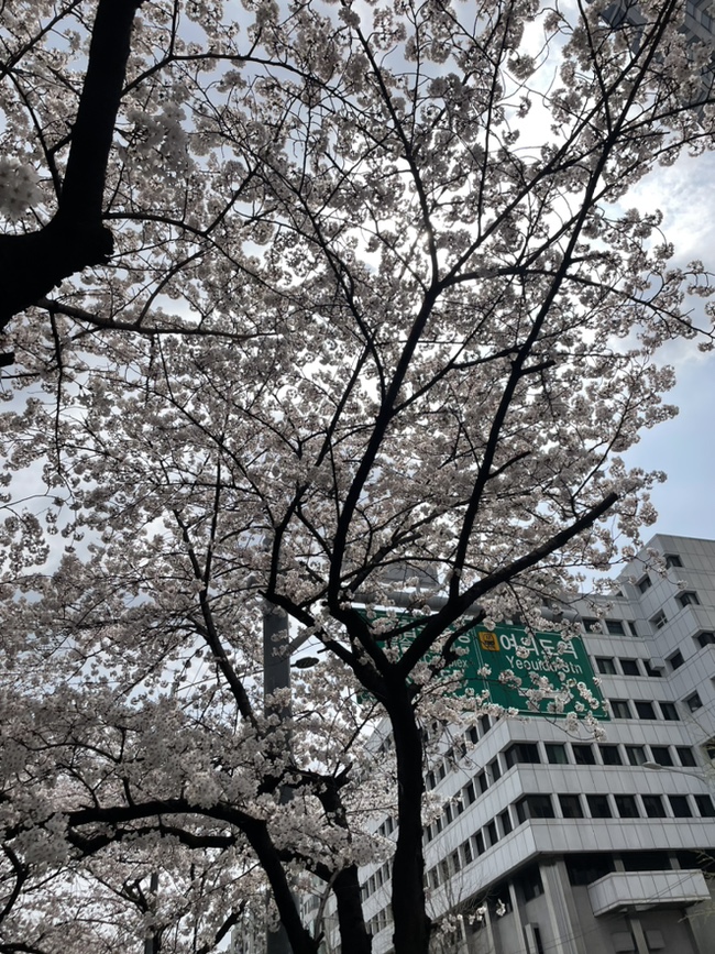 (주)티에프티 이미지