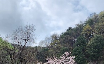 메이드영성형외과의원 이미지