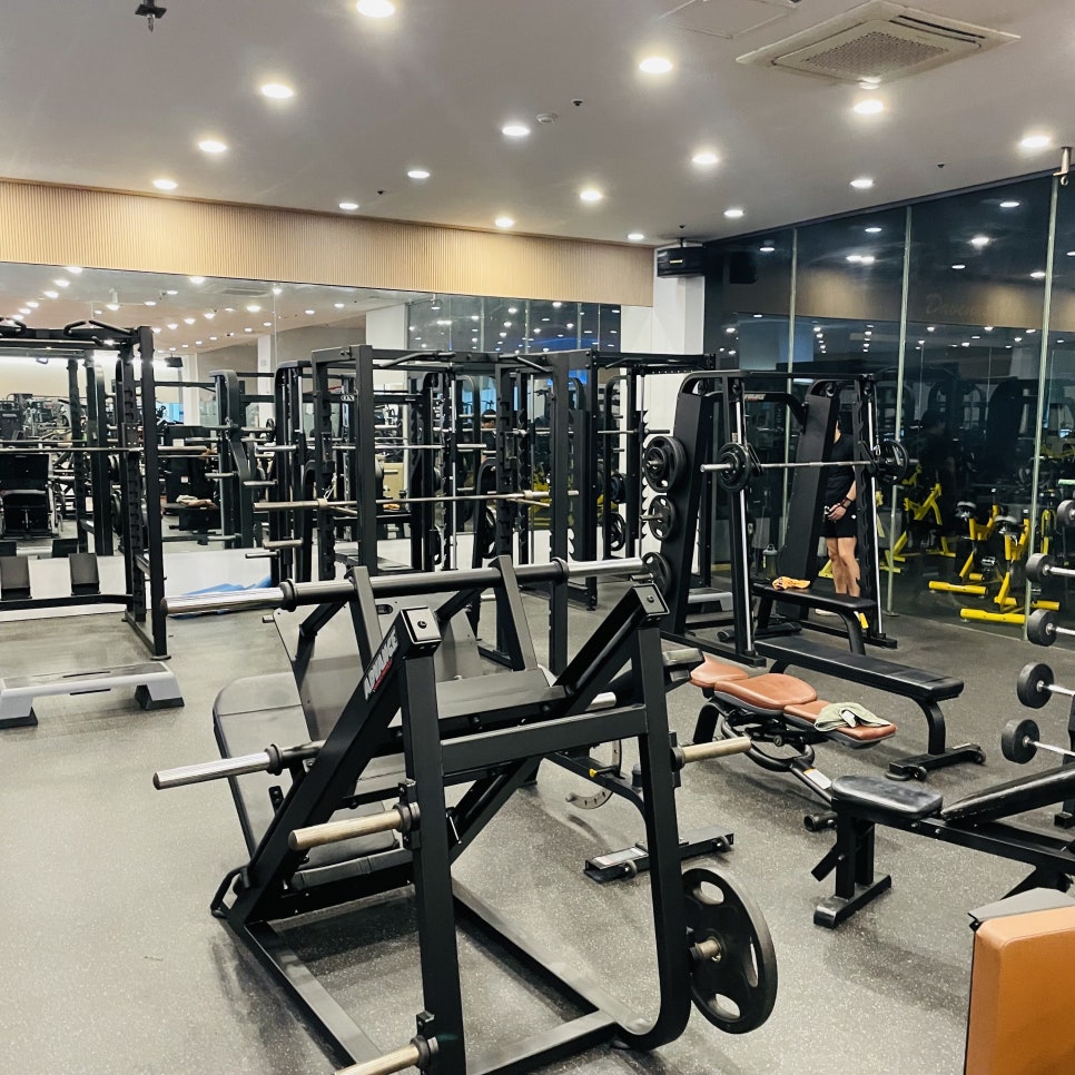 레이블짐&피티 이미지