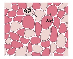 테라피스튜디오 이미지