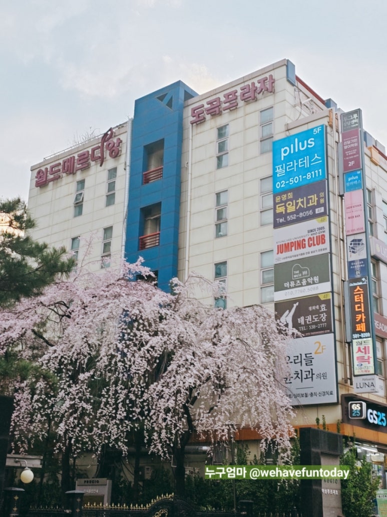 한솔필리아 이미지
