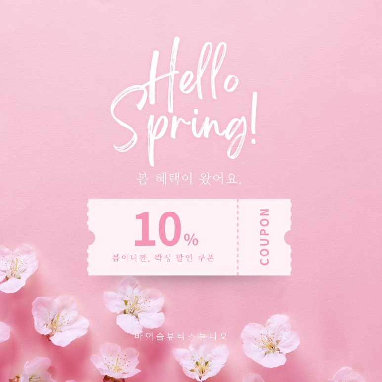 바이슬 이미지