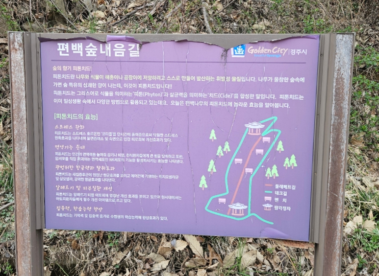 편백숲작은공간 이미지