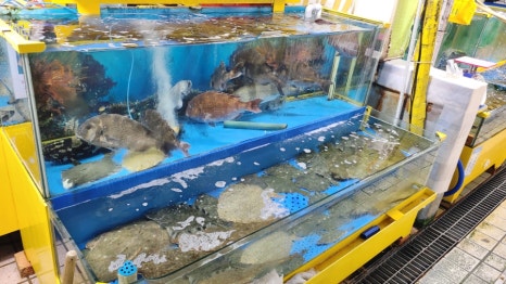 철이네수산 이미지