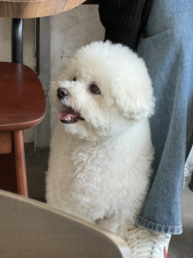 눅커피바 이미지
