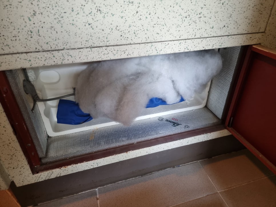 노블워시 이미지