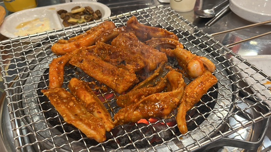 신나는아나고 이미지