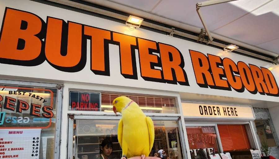 버터레코드(BUTTER RECORD) 이미지
