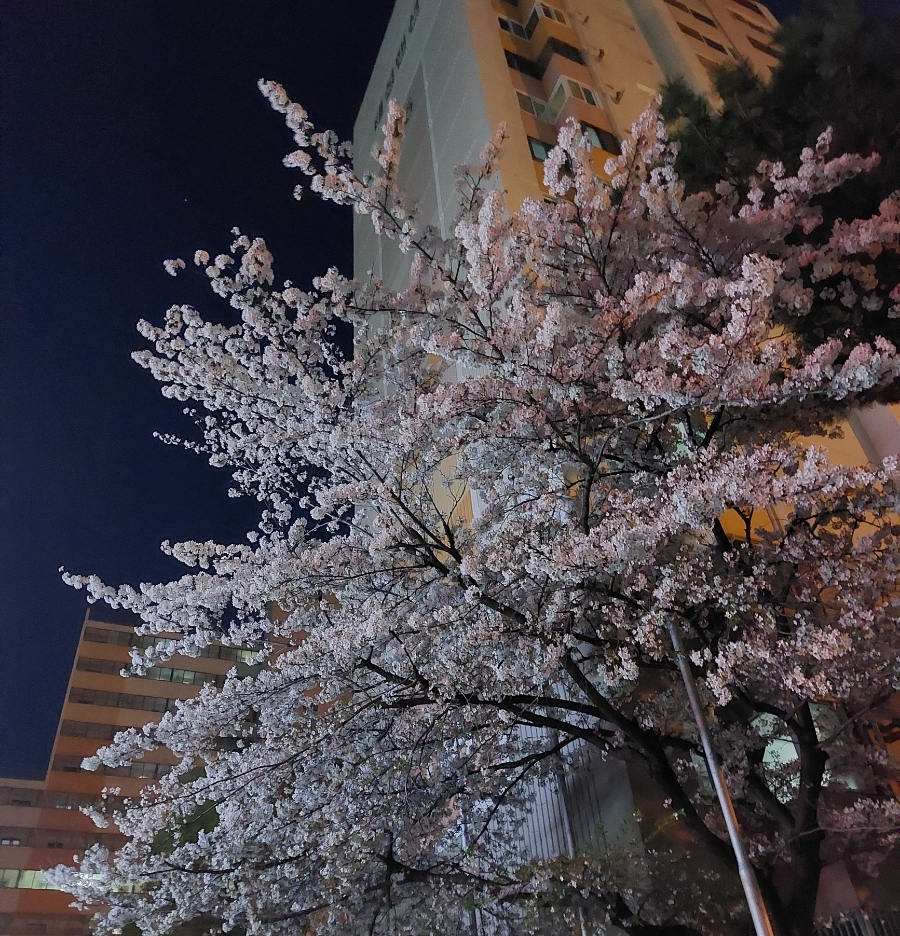 퍼팩트싱어동전노래연습장 이미지