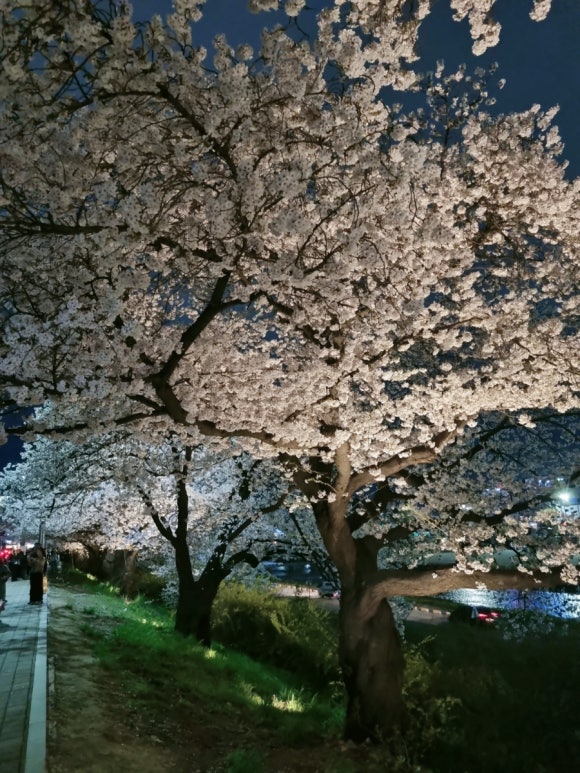 라망드플라워 이미지