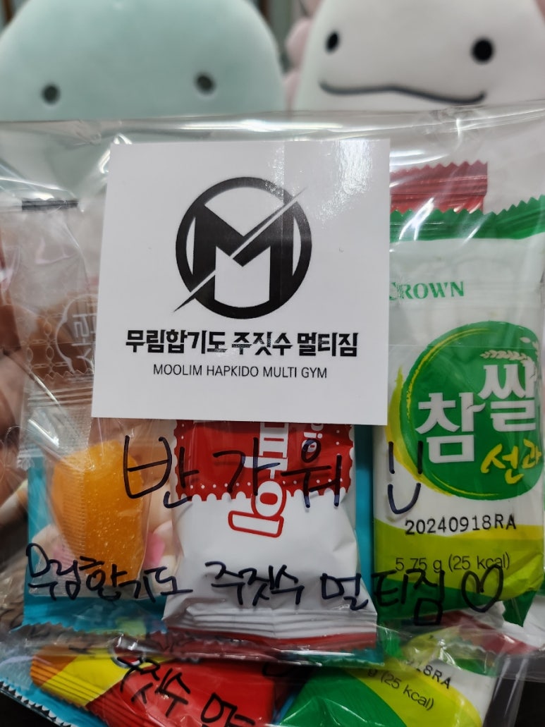 무림합기도멀티짐 이미지