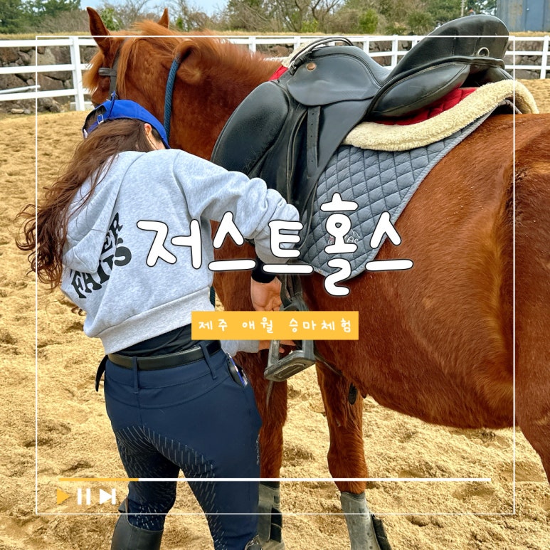 저스트홀스 이미지