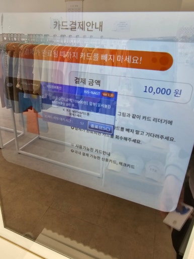 모도리베이비 이미지