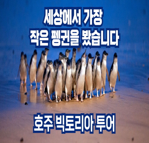 (주)이투어세상 이미지