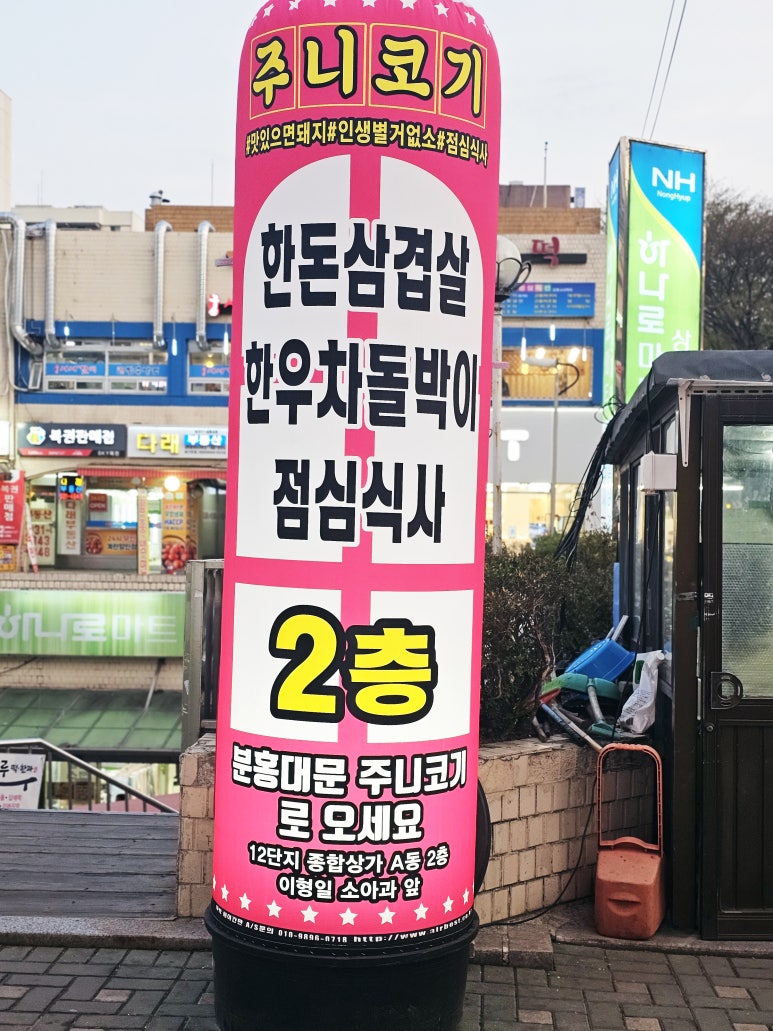 주니코기 이미지