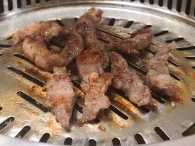 펫힐링달빛동물원 캠핑장 이미지