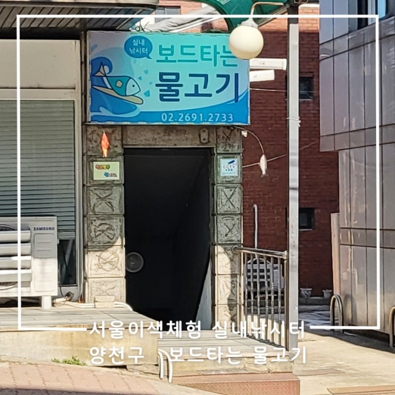 보드타는물고기 이미지