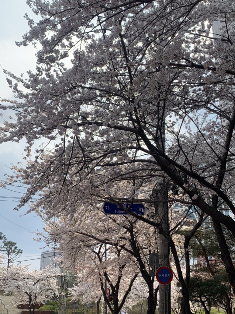 세븐일레븐(당인동점) 이미지