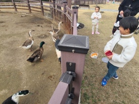 펫힐링달빛동물원 캠핑장 이미지