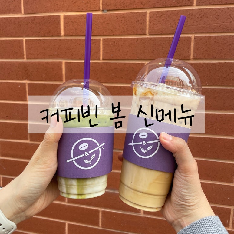 커피빈일산웨스턴돔1호점 이미지