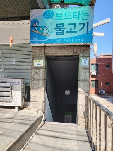 보드타는물고기 이미지
