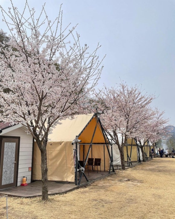 해인캠핑장 이미지