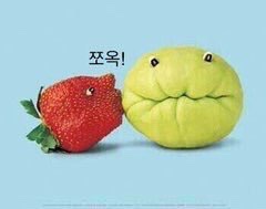 슐리 이미지
