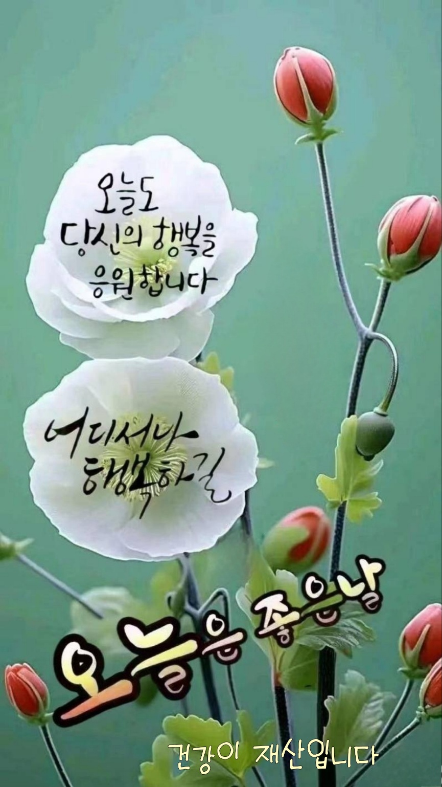 천사취업센터 이미지