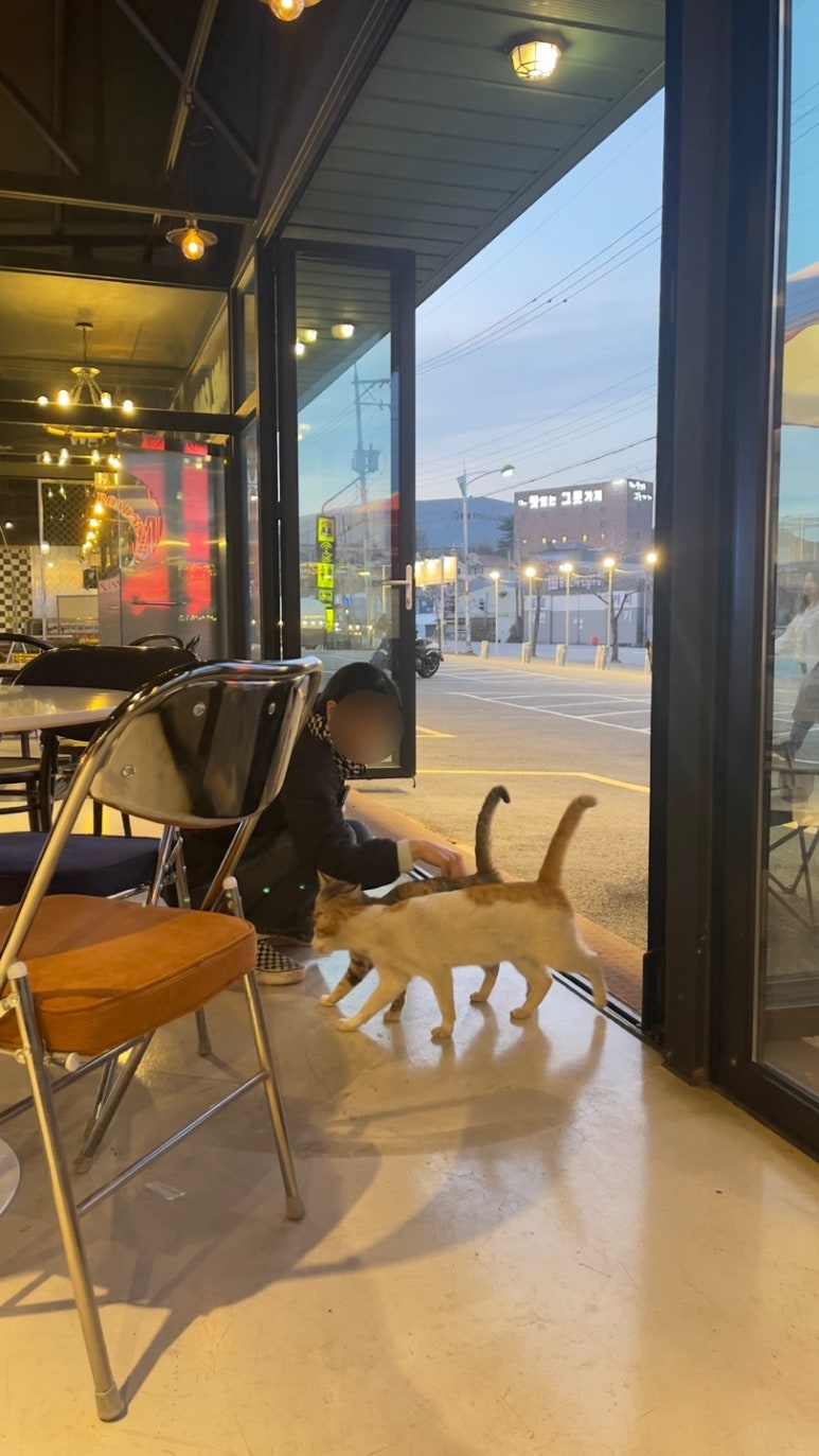로드타운 이미지