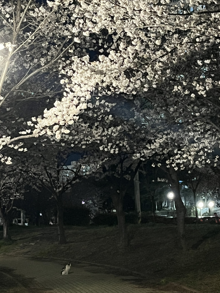 마장동고기집 진량점 이미지