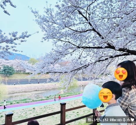 회룡장터 이미지