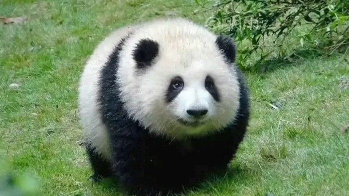 화화 이미지