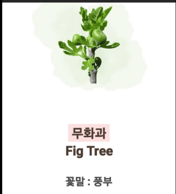 겸(兼) 이미지