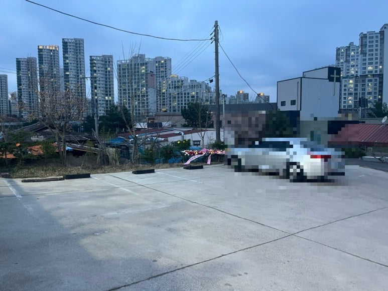 새벽회세종 이미지