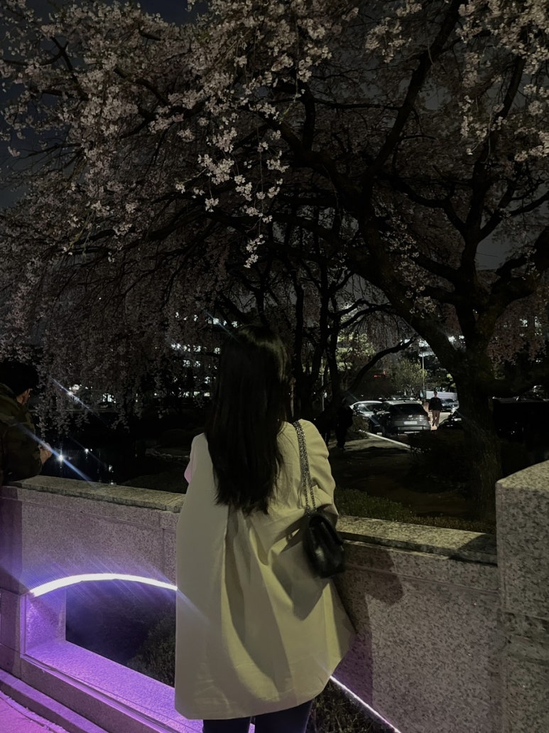 철수네푸드 이미지