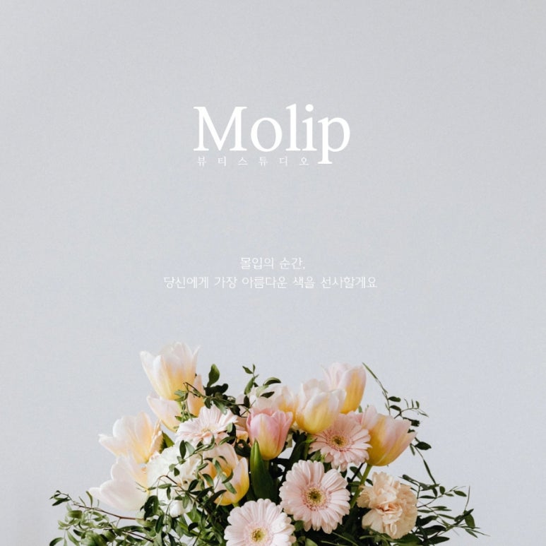 몰리뷰티 이미지