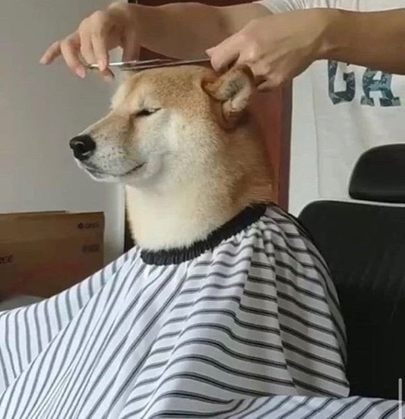 프롬어스 이미지
