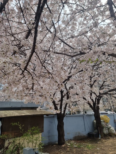 엔샵컴퓨터 이미지