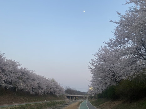두루33 이미지