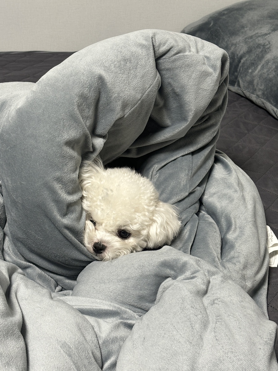 장백 유치원 이미지