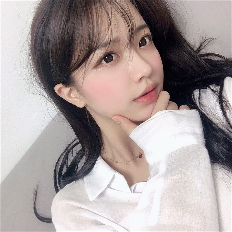 비제이 이미지