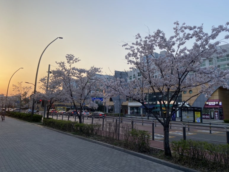 펭귄하우스방화 이미지