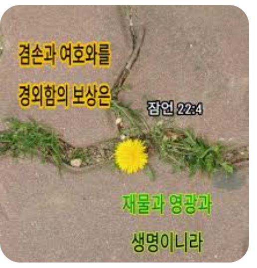 겸(兼) 이미지