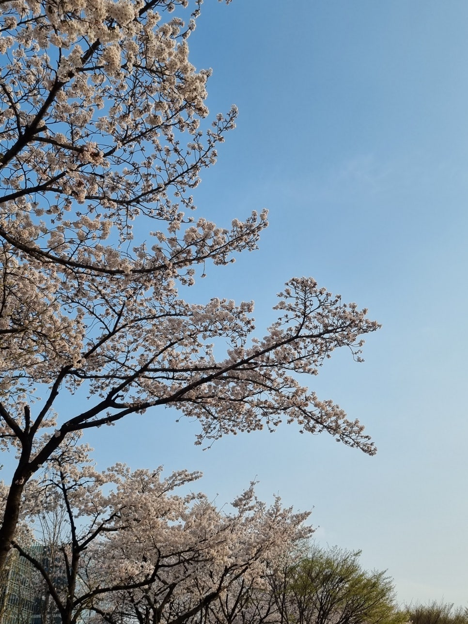 디자인첫봄 이미지